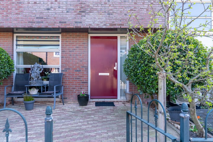 Foto 7 van Pijlkruid 34