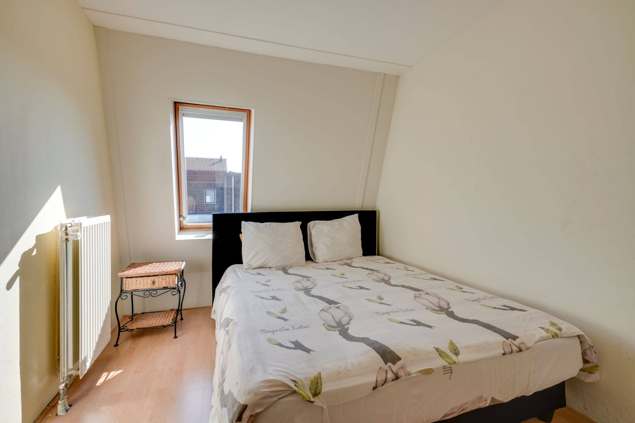 Foto 24 van Pijlkruid 34