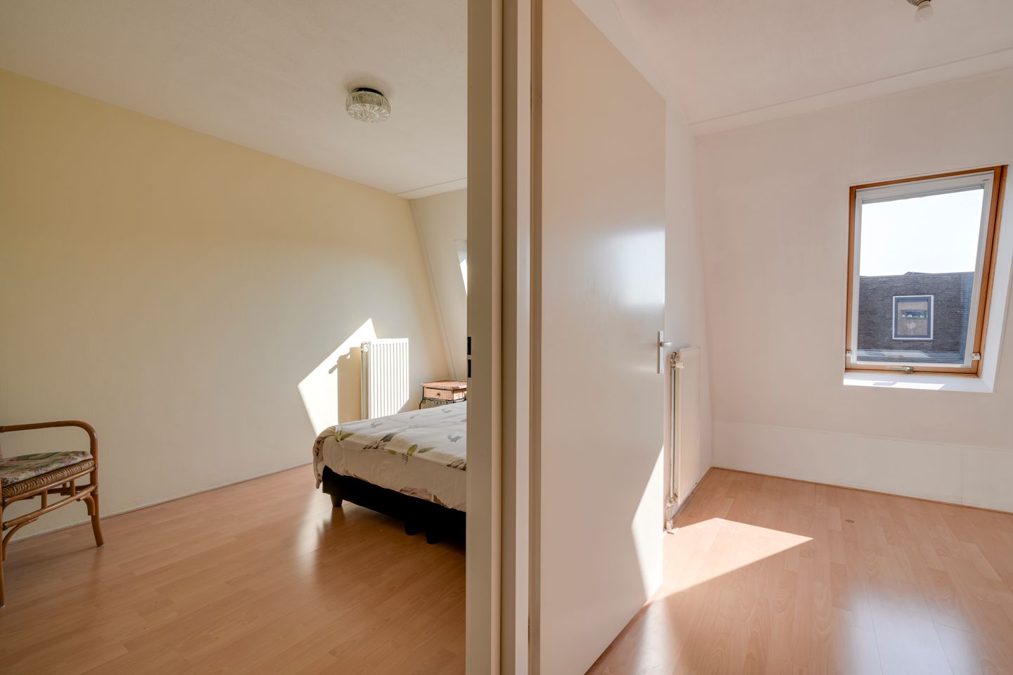 Foto 25 van Pijlkruid 34