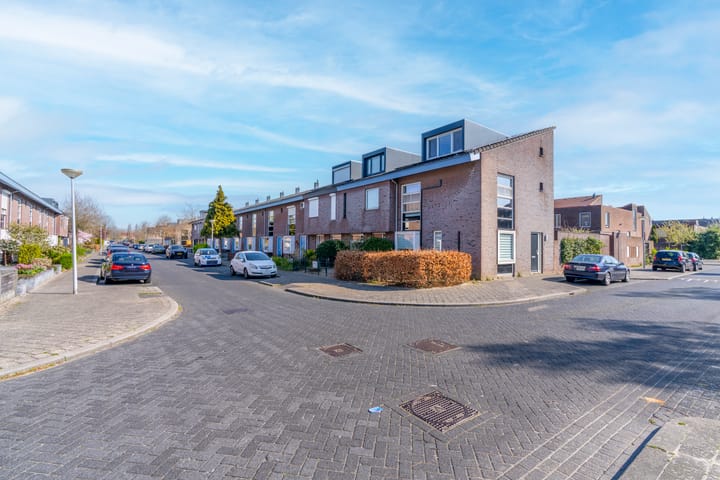 Foto 32 van Pijlkruid 34