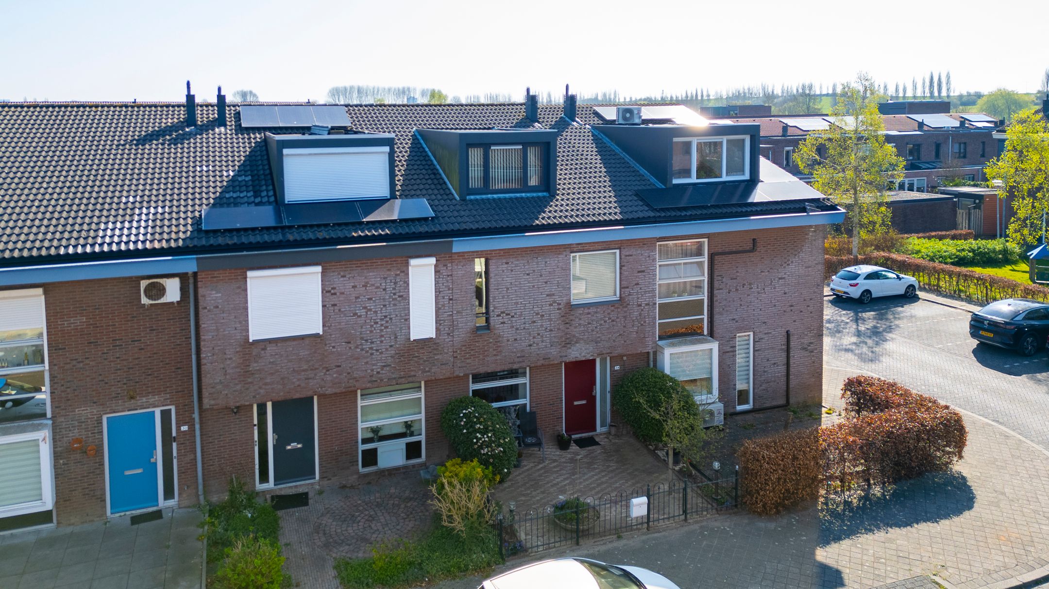 Foto 33 van Pijlkruid 34