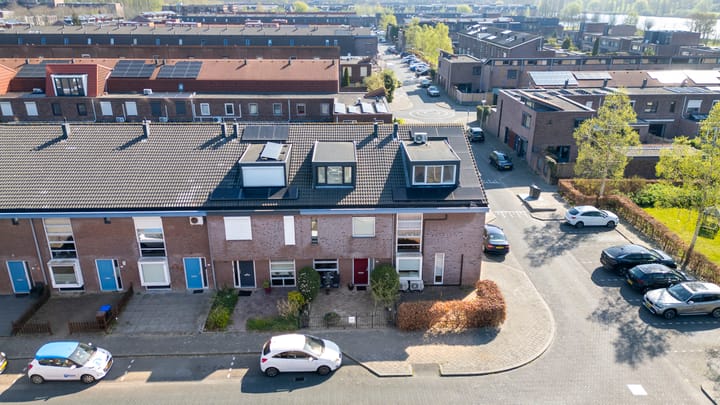 Foto 34 van Pijlkruid 34