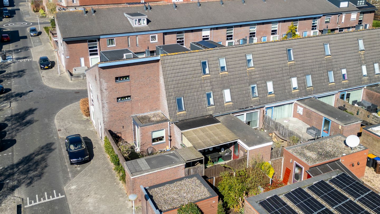 Foto 35 van Pijlkruid 34