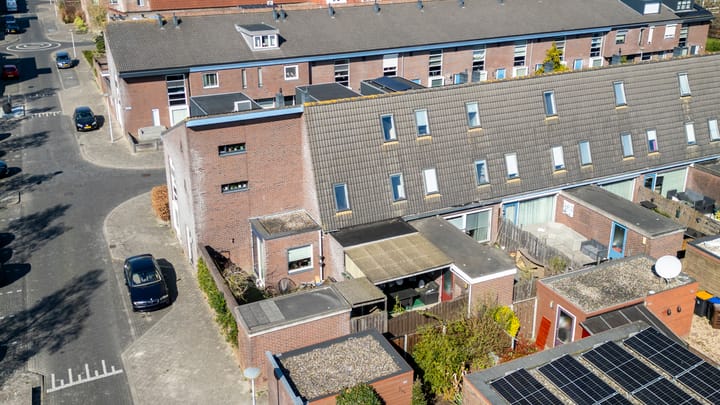 Foto 35 van Pijlkruid 34