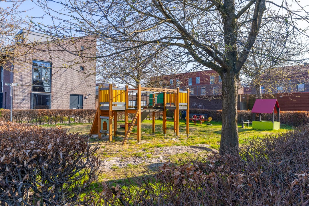 Foto 38 van Pijlkruid 34