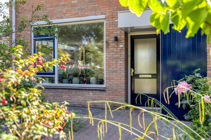 Foto 9 van De Katuil 1