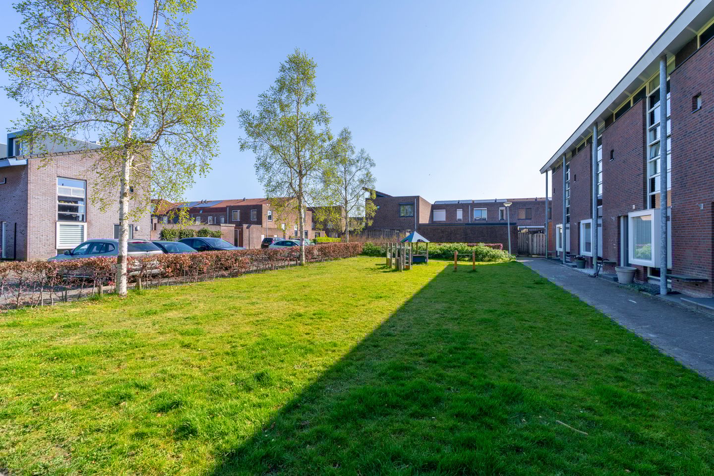 Foto 40 van Pijlkruid 34