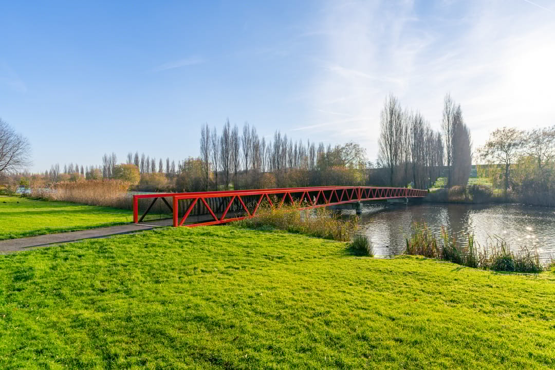 Foto 41 van Pijlkruid 34