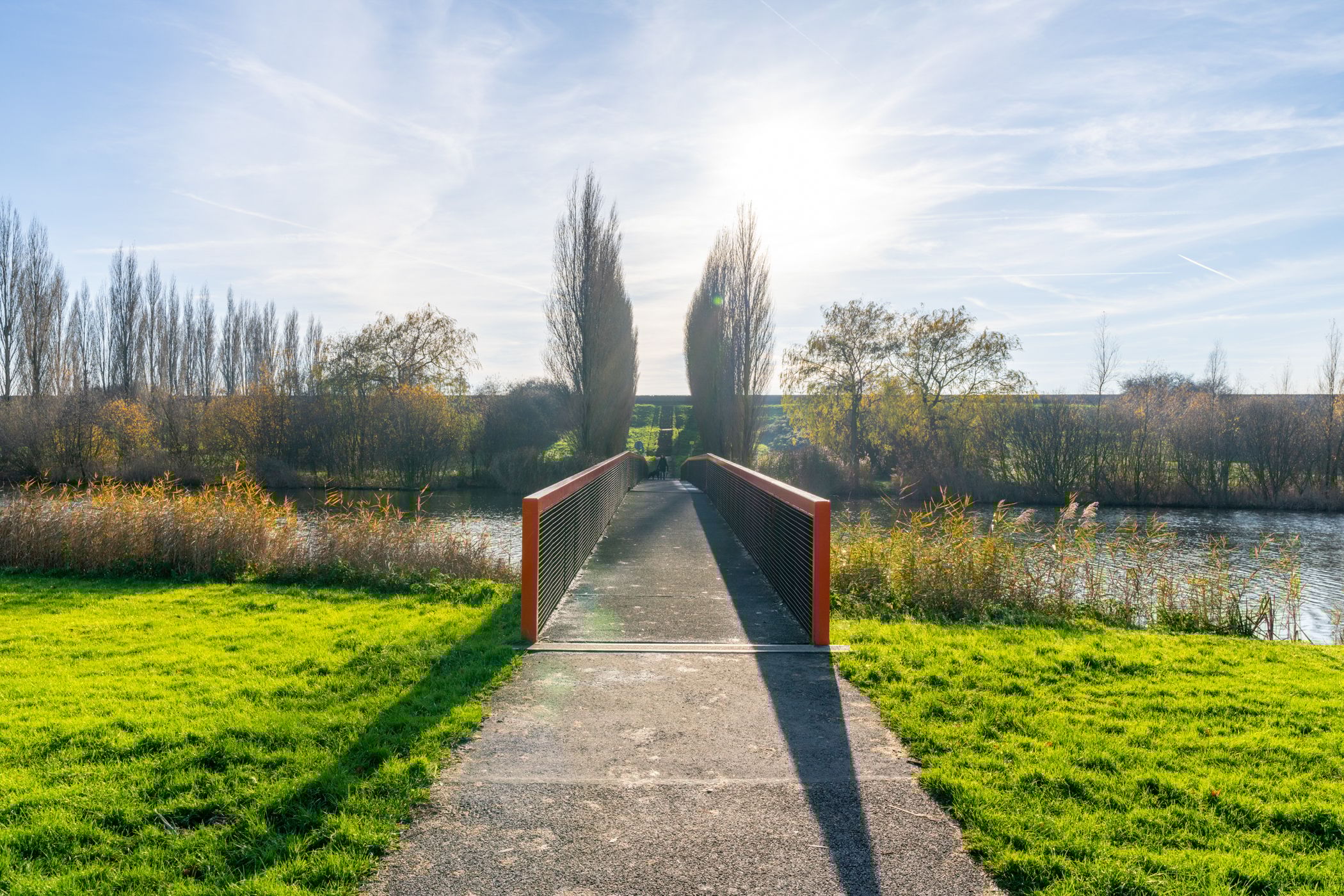 Foto 42 van Pijlkruid 34