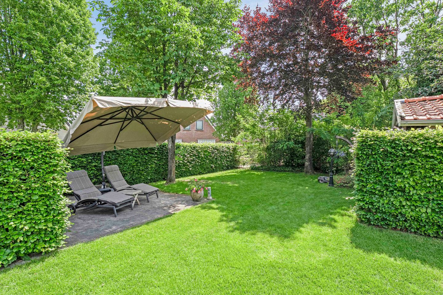 Foto 4 van Zetveld 4