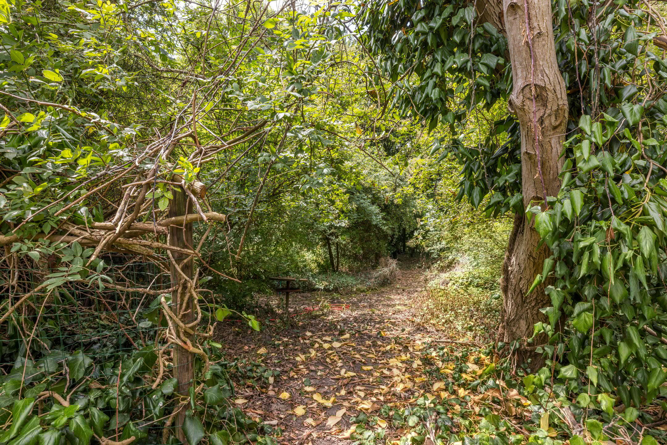 Foto 33 van Esschenweg 121