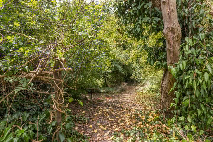 Foto 33 van Esschenweg 121