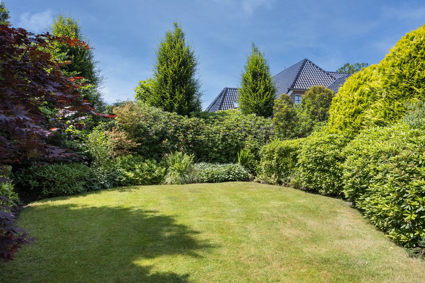 Foto 25 van Oldenzaalsestraat 8