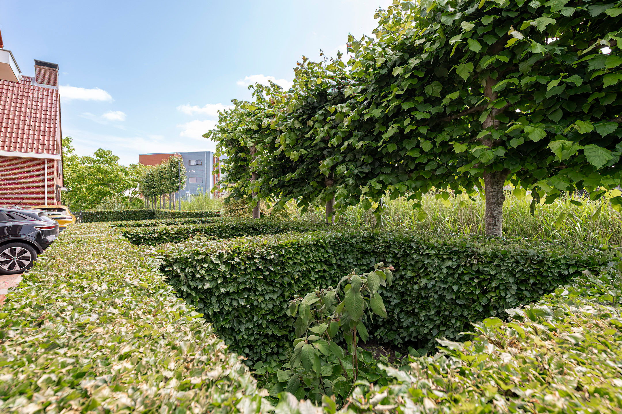 Photo 48 of Concorde 23