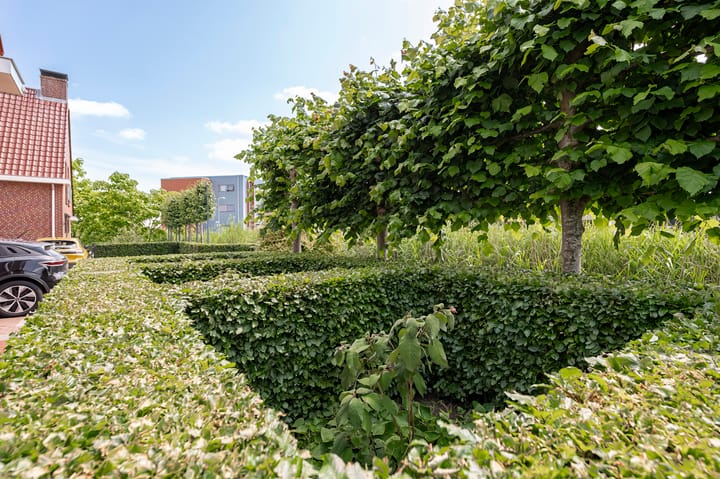 Foto 48 van Concorde 23