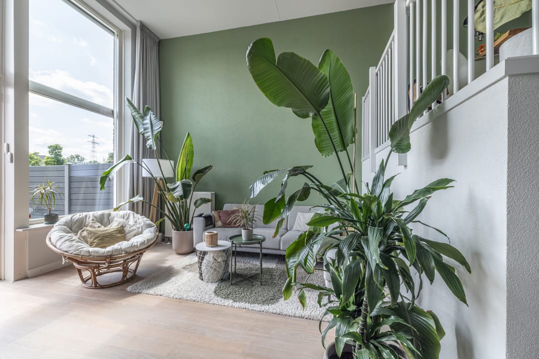 Photo 8 of Noordkil 54