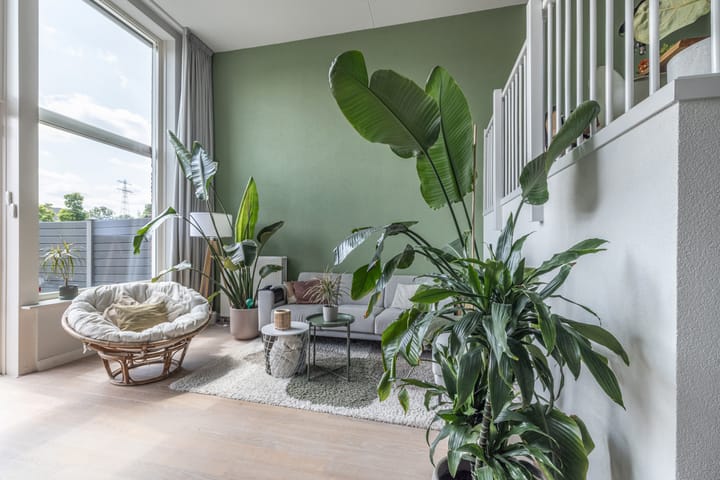 Photo 8 of Noordkil 54