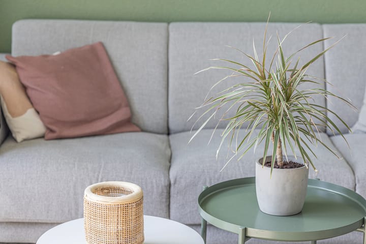 Photo 11 of Noordkil 54