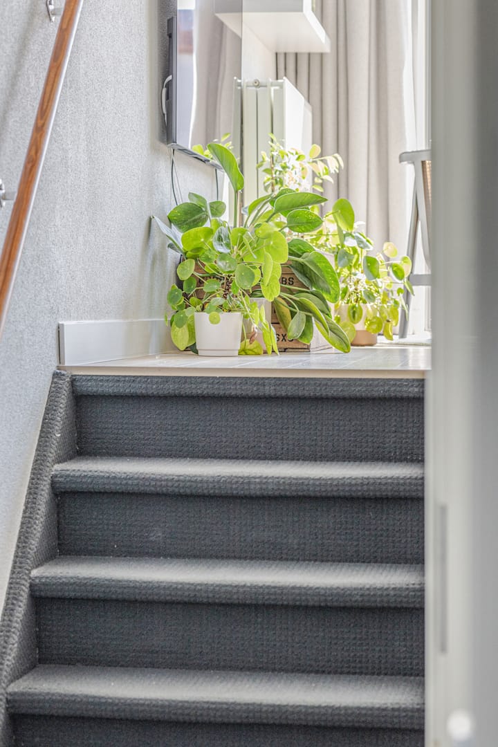 Photo 26 of Noordkil 54