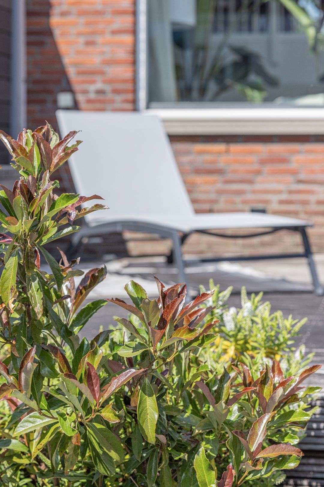 Photo 46 of Noordkil 54