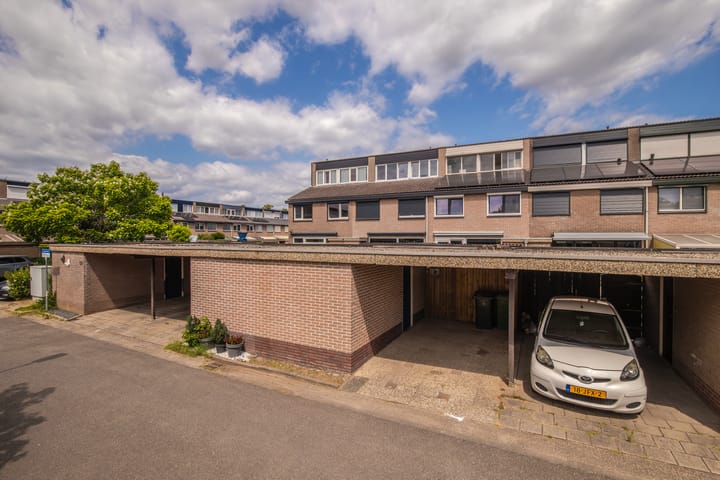 Foto 6 van Looyenland 55