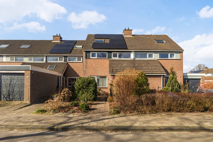 Foto 7 van Taniaburg 3