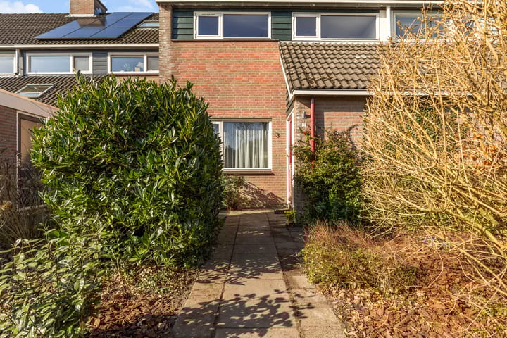 Foto 8 van Taniaburg 3