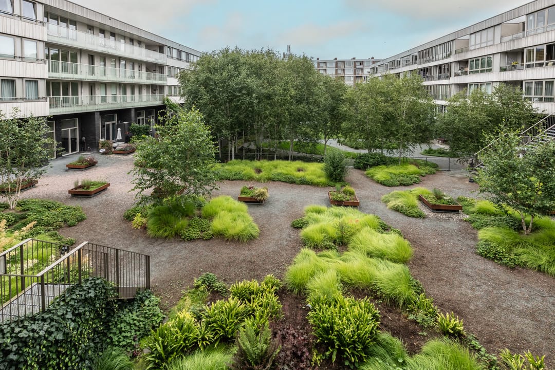 Foto 32 van Maassluisstraat 65-F