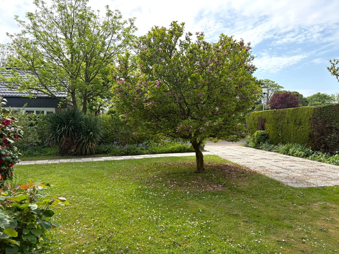 Photo 22 of Flitslaan 4