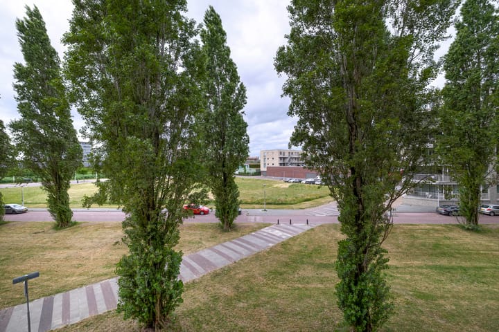 Foto 22 van Glenn Millerpad 45