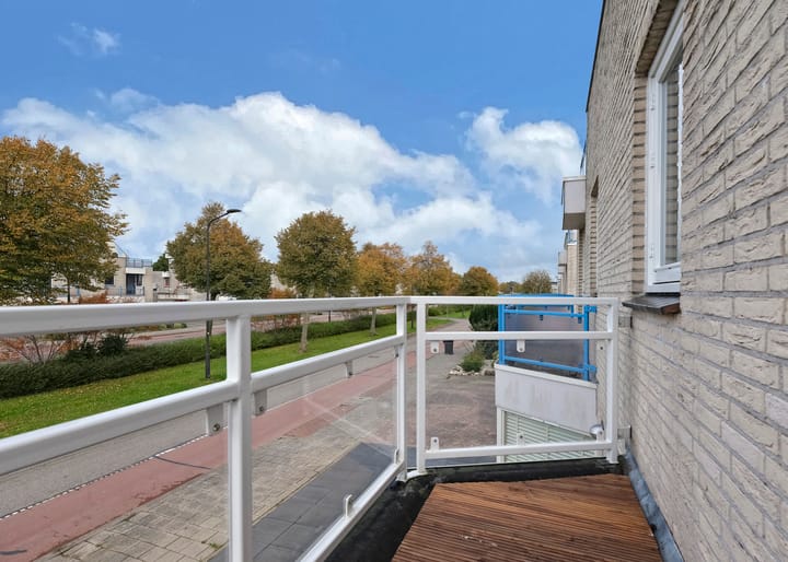 Foto 20 van Gibbon 17