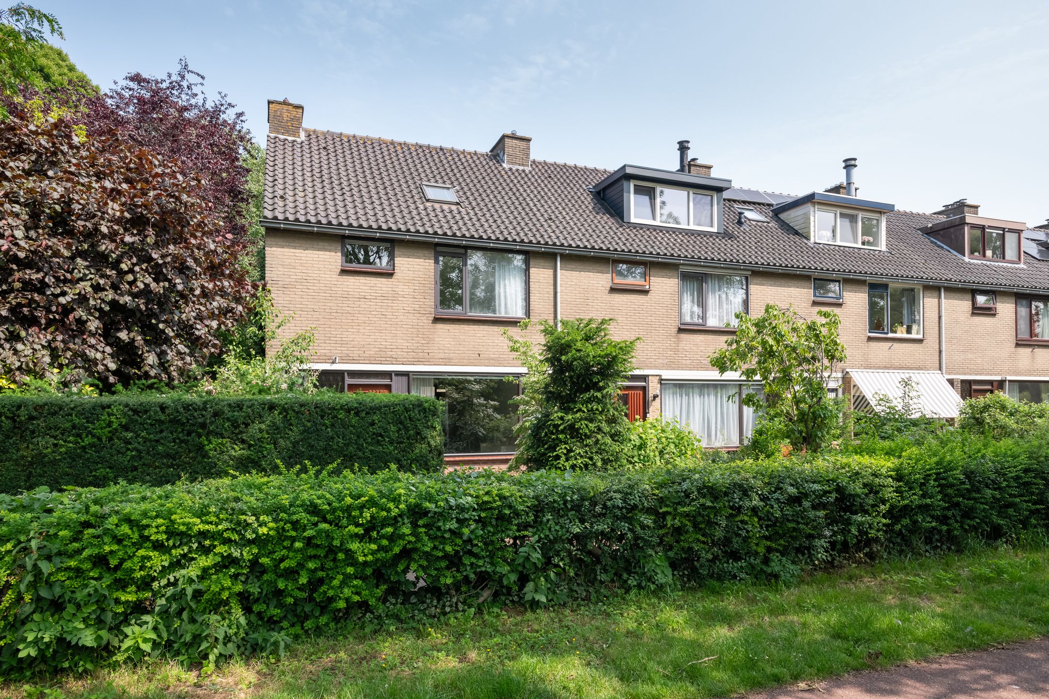 Foto 3 van Klaproos 31