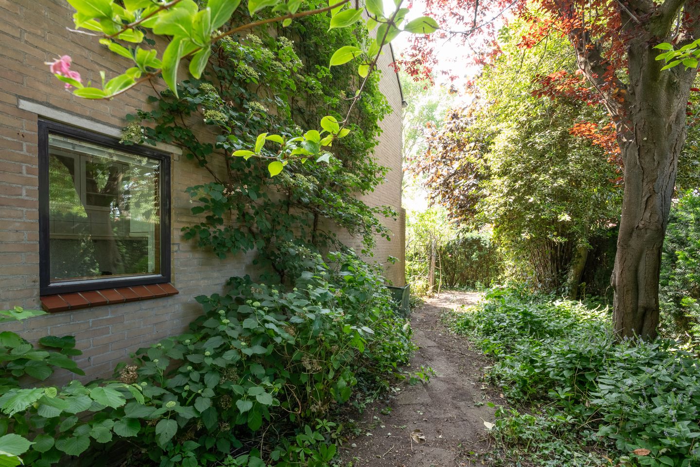 Foto 25 van Klaproos 31