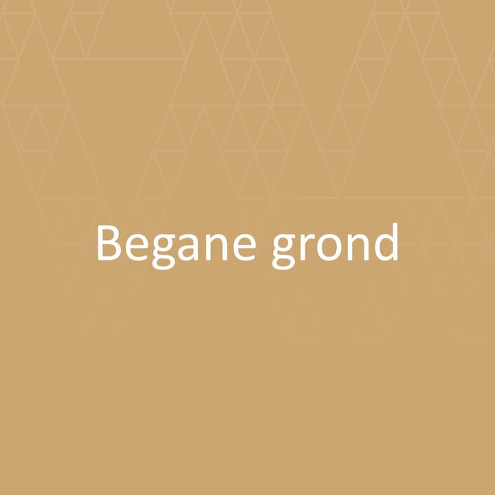 Foto 4 van Drietrompetterstraat 10