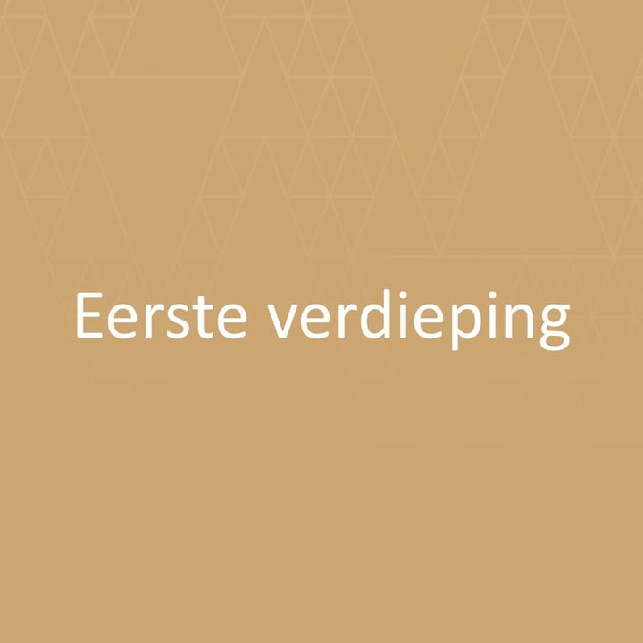 Foto 11 van Drietrompetterstraat 10