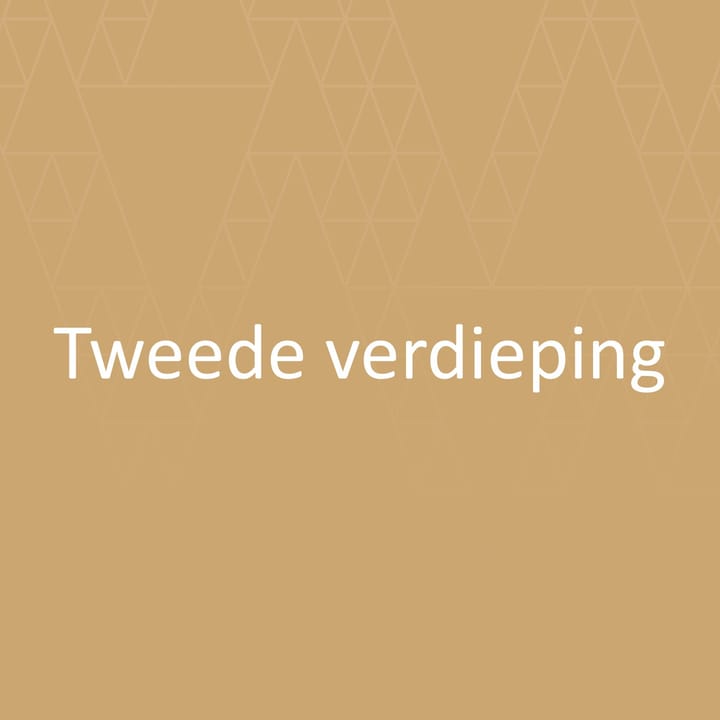 Foto 22 van Drietrompetterstraat 10