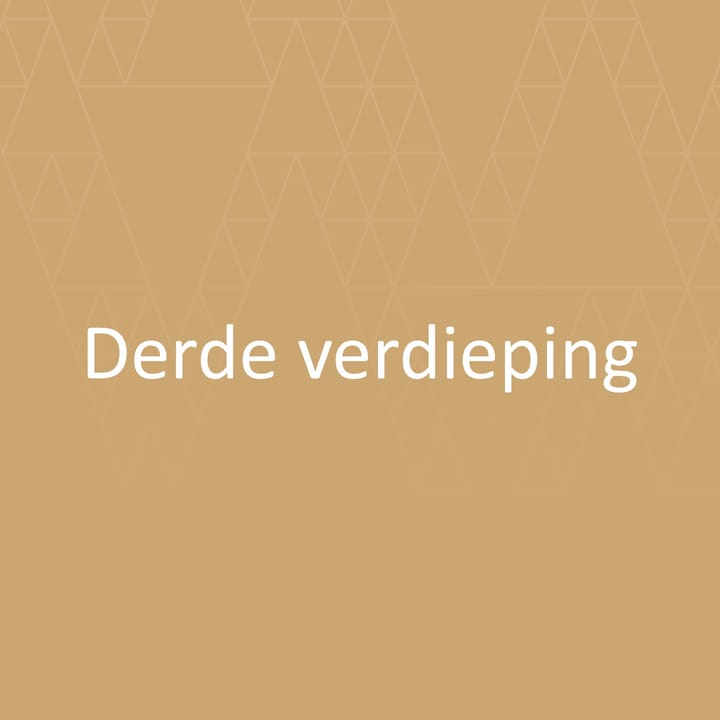 Foto 30 van Drietrompetterstraat 10