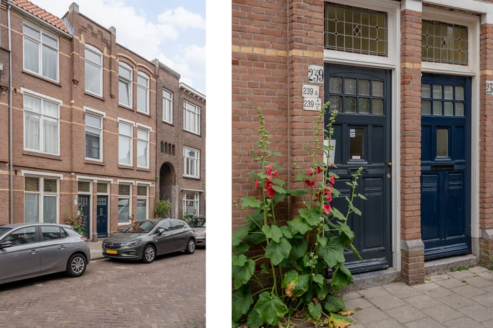 Photo 3 of Fultonstraat 239-C