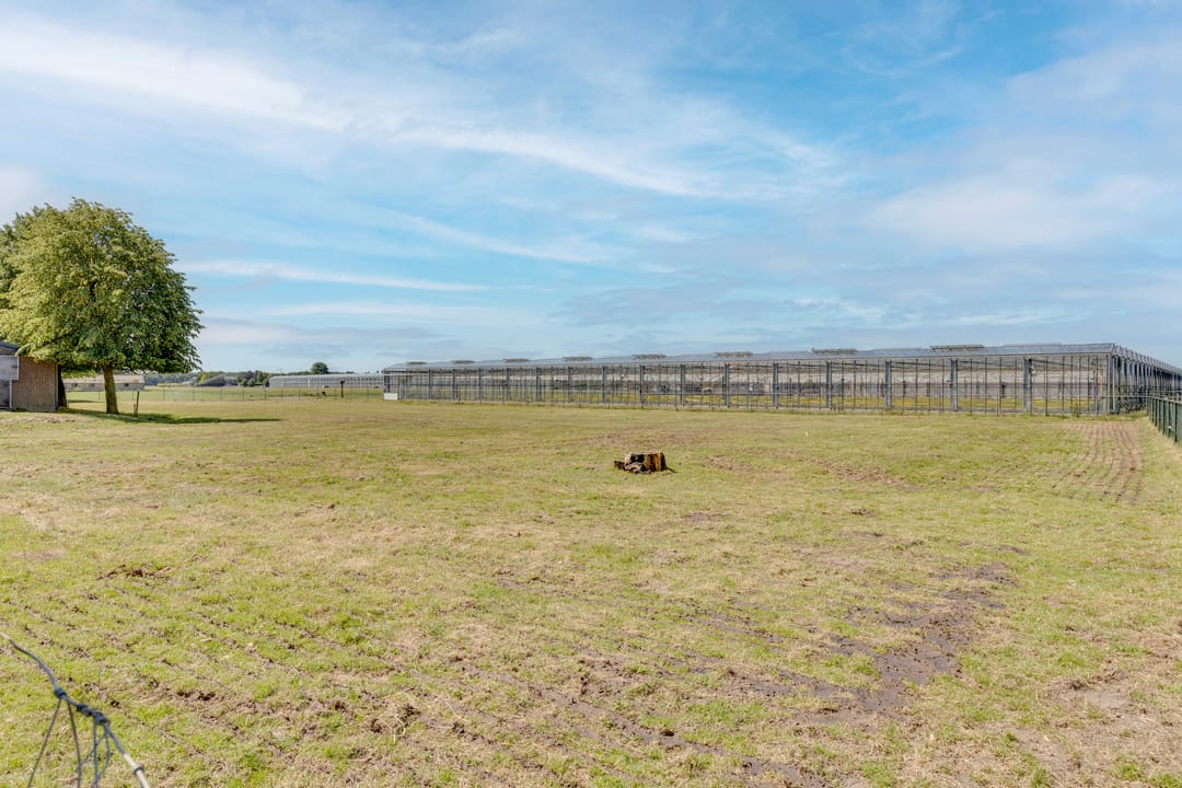 Foto 62 van Breestraat 22