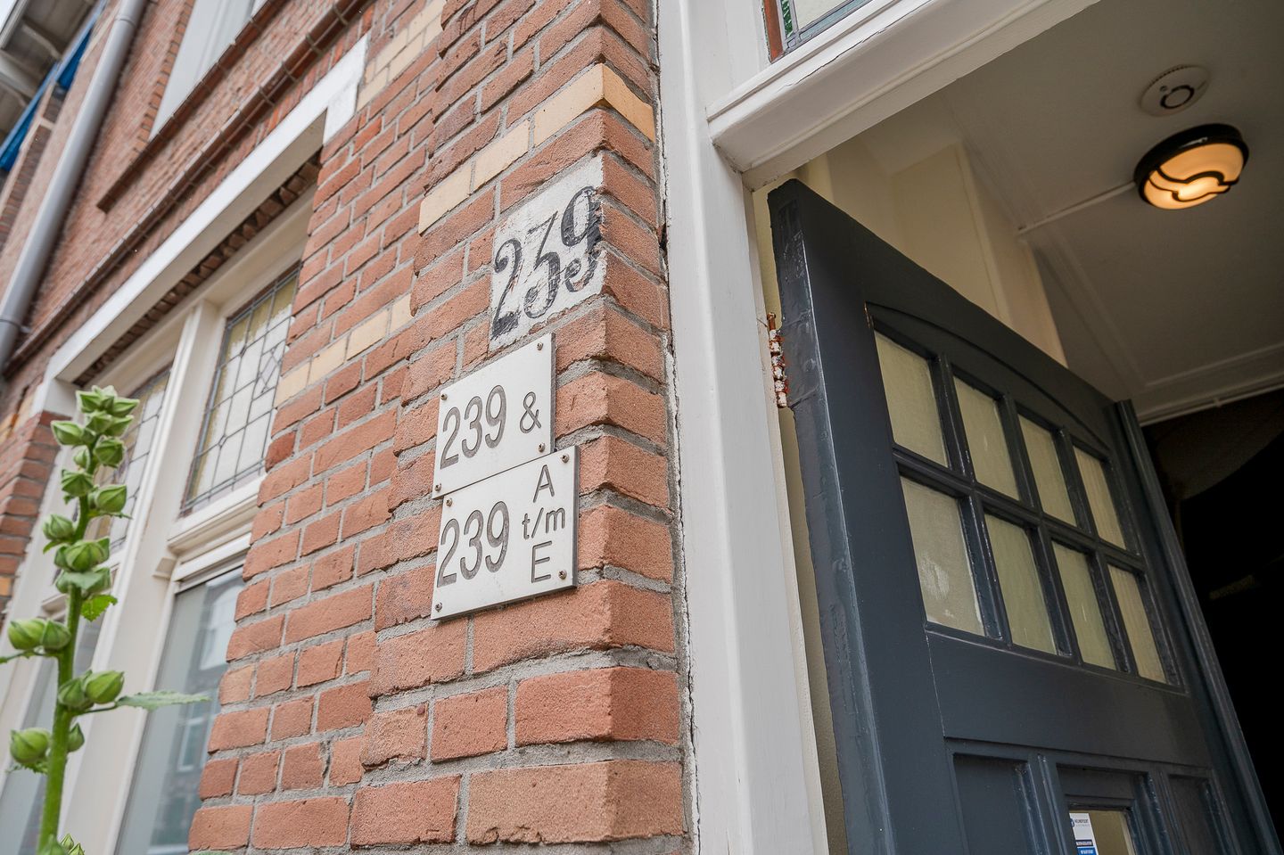 Foto 4 van Fultonstraat 239-C