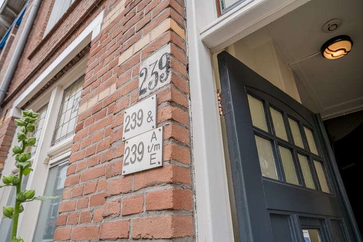 Photo 4 of Fultonstraat 239-C