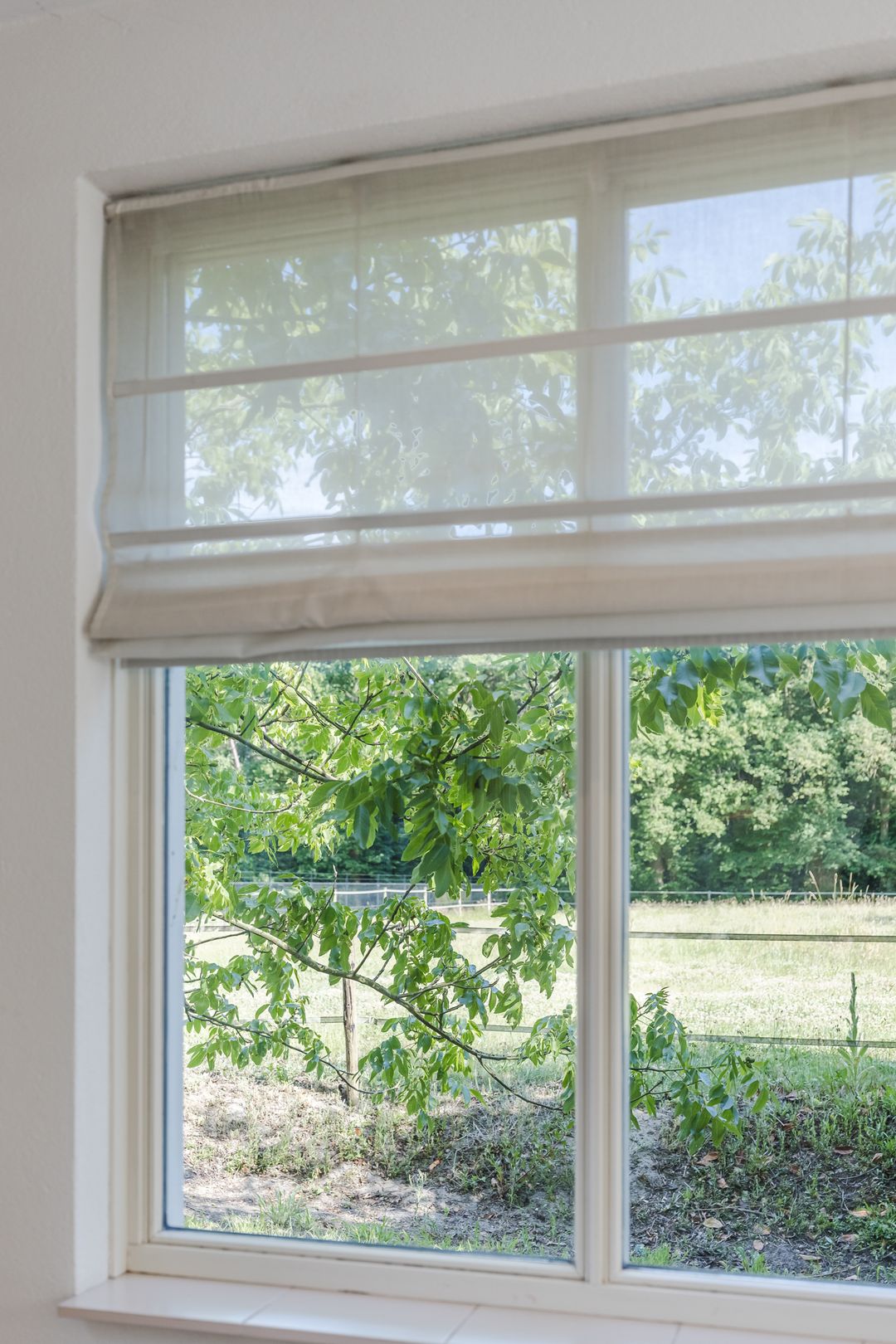 Foto 13 van Berkenlaan 49