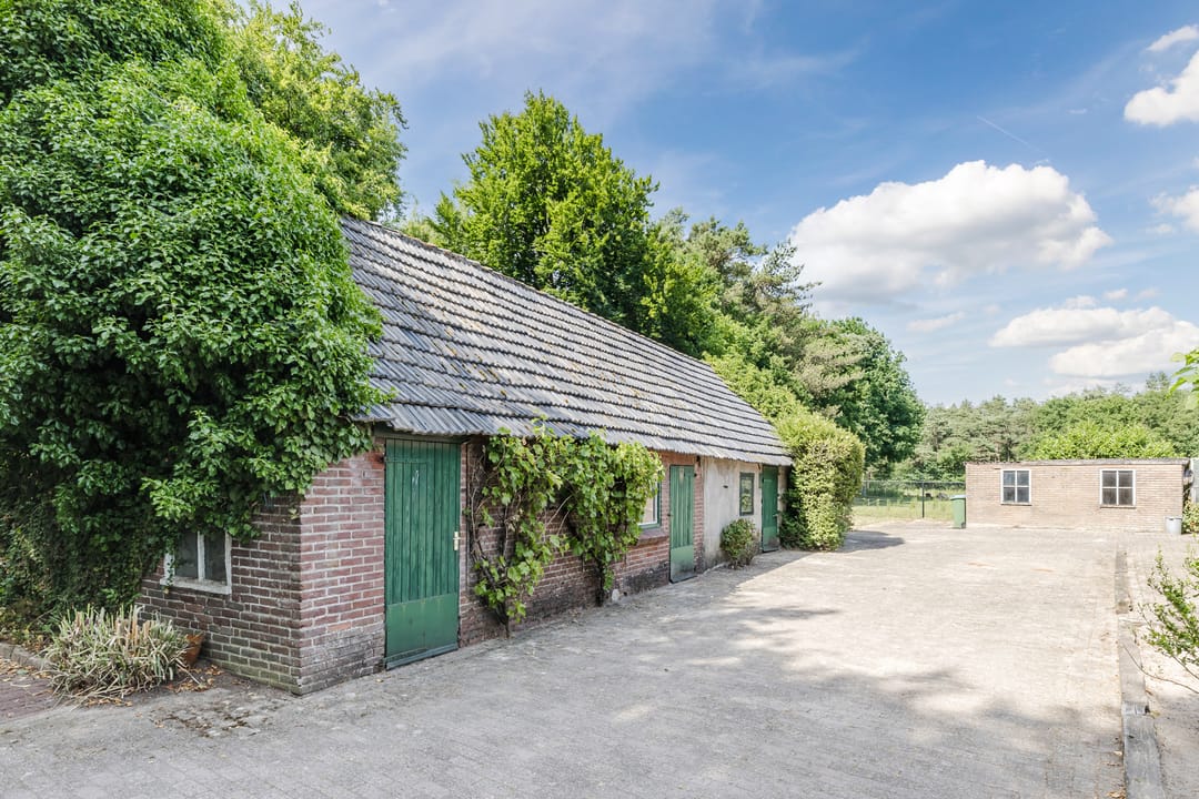 Foto 31 van Berkenlaan 49