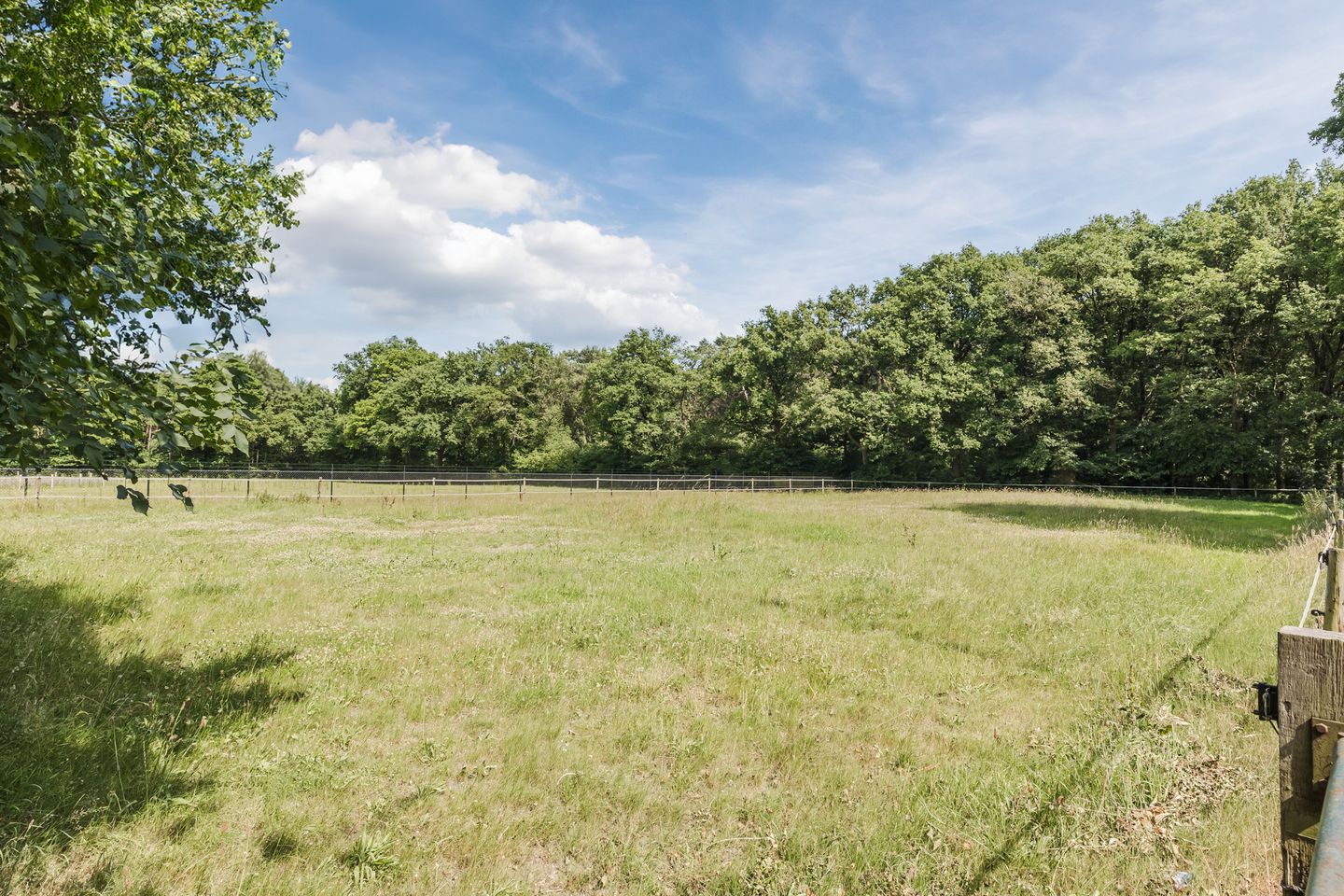 Foto 34 van Berkenlaan 49