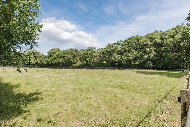 Foto 34 van Berkenlaan 49