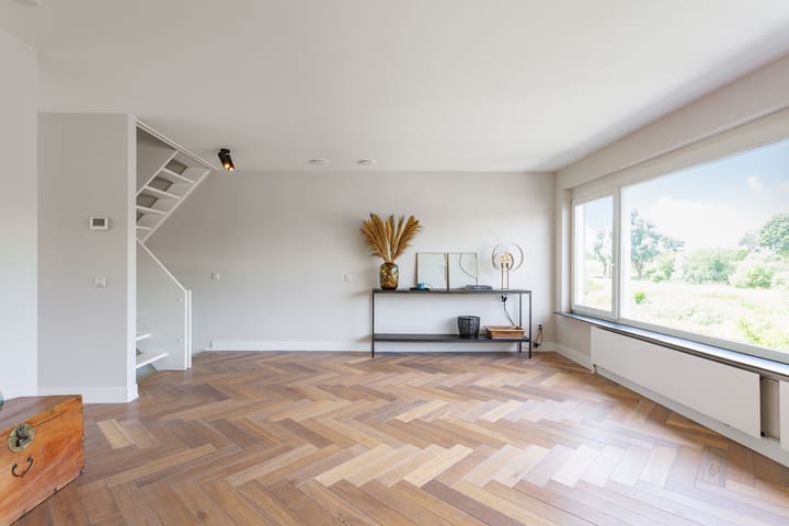 Foto 3 van Schotse Hooglanden 40