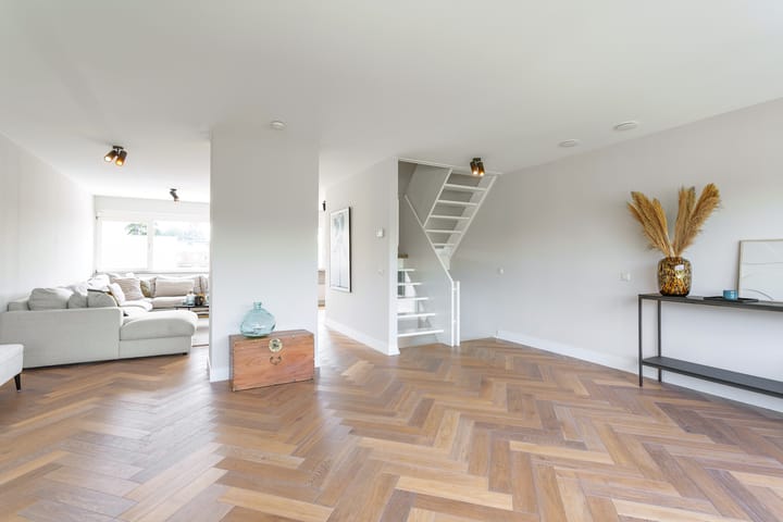 Foto 7 van Schotse Hooglanden 40