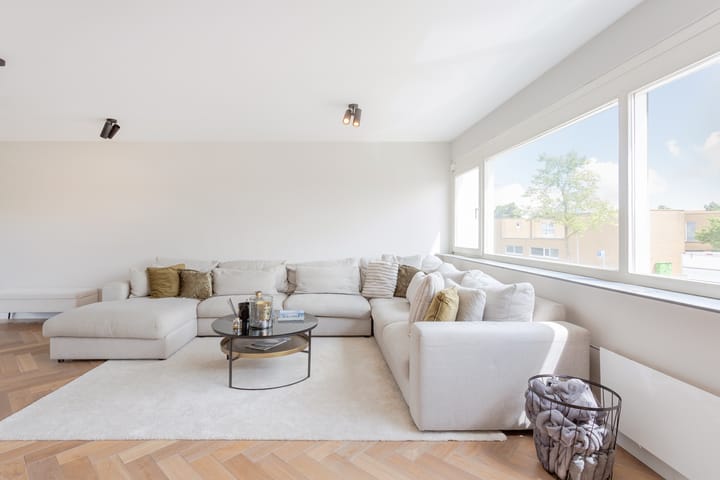 Foto 10 van Schotse Hooglanden 40