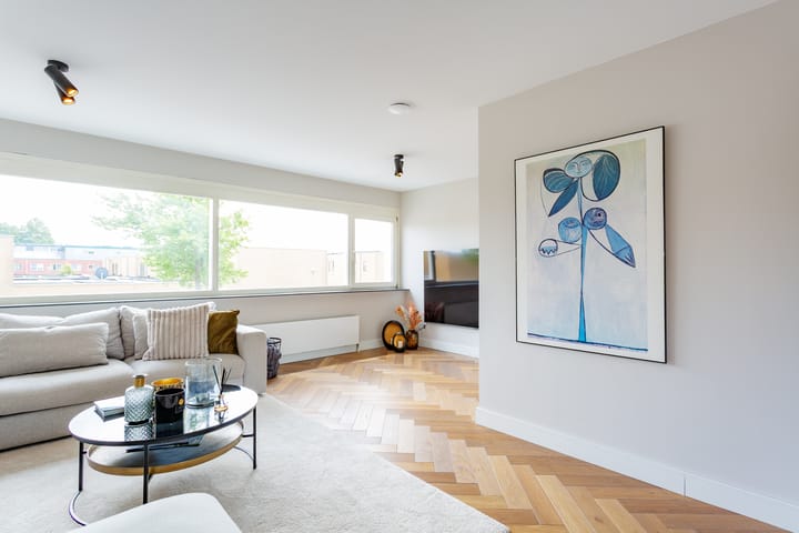 Foto 11 van Schotse Hooglanden 40