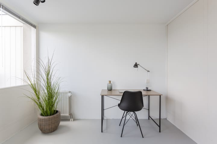 Foto 42 van Schotse Hooglanden 40